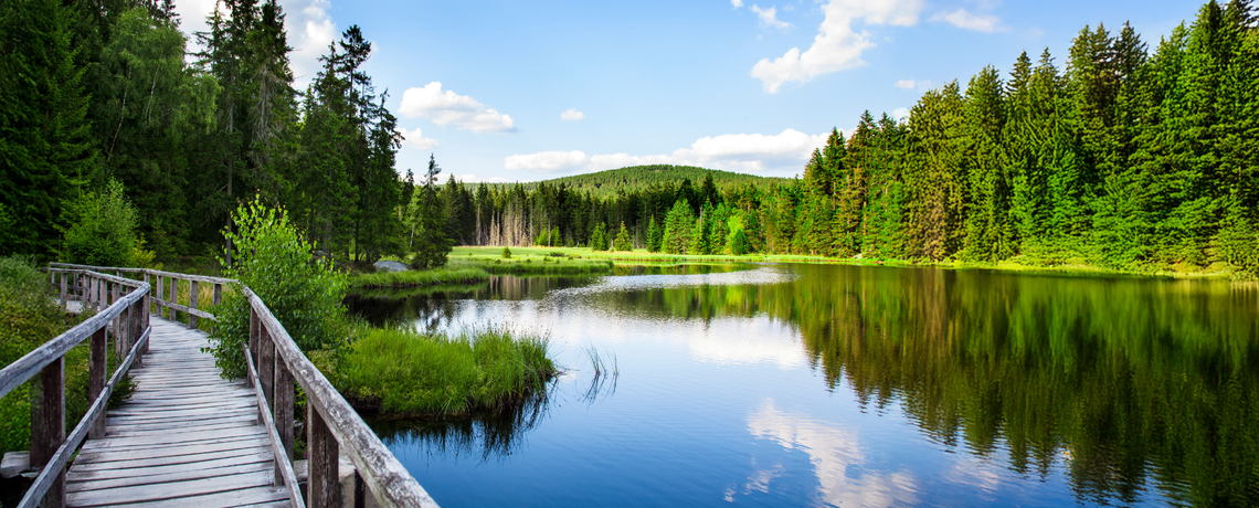 See im Wald mit Wanderweg über Brücke